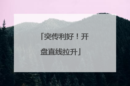 突传利好！开盘直线拉升