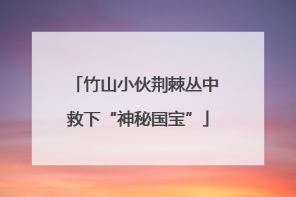 竹山小伙荆棘丛中救下“神秘国宝”