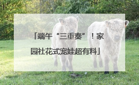 端午“三重奏”！家园社花式宠娃超有料