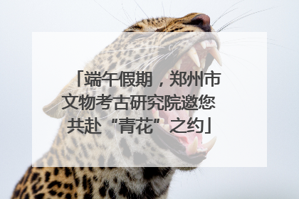 端午假期，郑州市文物考古研究院邀您共赴“青花”之约