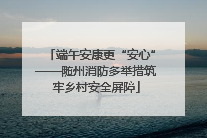 端午安康更“安心”——随州消防多举措筑牢乡村安全屏障
