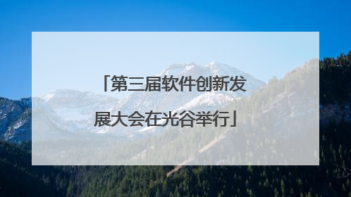 第三届软件创新发展大会在光谷举行