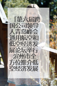 第六届跨国公司领导人青岛峰会通用航空和低空经济发展论坛举行 滨州市全方位推介低空经济发展优势