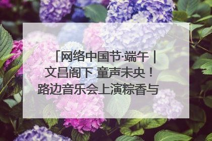 网络中国节·端午｜文昌阁下 童声未央！路边音乐会上演粽香与童真的诗意交响