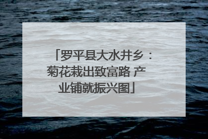 罗平县大水井乡：菊花栽出致富路 产业铺就振兴图