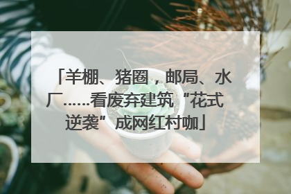羊棚、猪圈，邮局、水厂……看废弃建筑“花式逆袭”成网红村咖