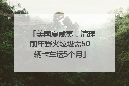 美国夏威夷：清理前年野火垃圾需50辆卡车运5个月