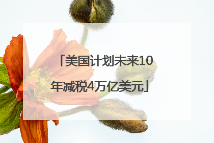 美国计划未来10年减税4万亿美元