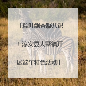 粽叶飘香凝共识！淳安县大墅镇开展端午特色活动