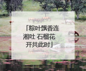 粽叶飘香连湘吐 石榴花开共此时