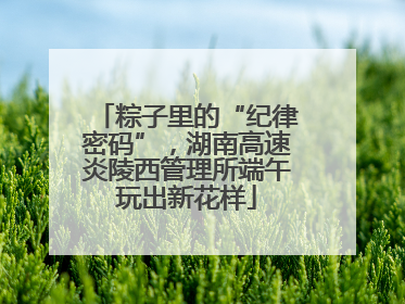 粽子里的“纪律密码”，湖南高速炎陵西管理所端午玩出新花样