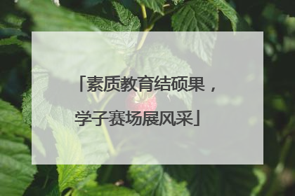 素质教育结硕果，学子赛场展风采