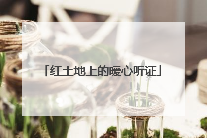 红土地上的暖心听证