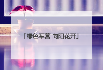 绿色军营 向阳花开