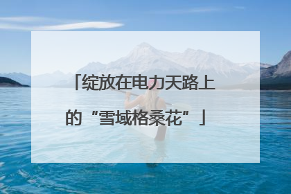 绽放在电力天路上的“雪域格桑花”