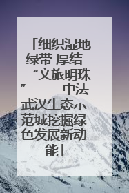 细织湿地绿带 厚结“文旅明珠”——中法武汉生态示范城挖掘绿色发展新动能