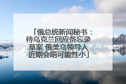 俄总统新闻秘书：待乌克兰回应备忘录草案 俄美乌领导人近期会晤可能性小