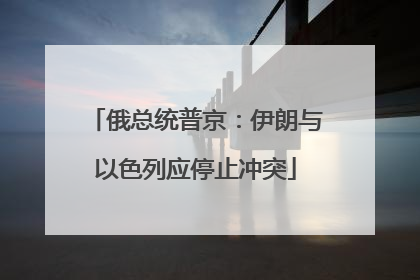 俄总统普京：伊朗与以色列应停止冲突