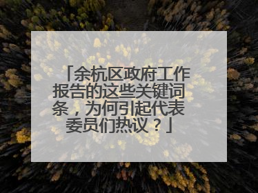 余杭区政府工作报告的这些关键词条，为何引起代表委员们热议？