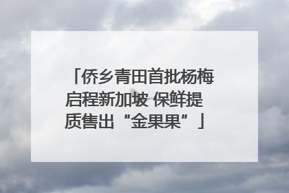侨乡青田首批杨梅启程新加坡 保鲜提质售出“金果果”