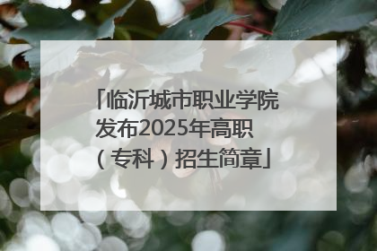 临沂城市职业学院发布2025年高职（专科）招生简章