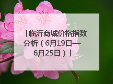 临沂商城价格指数分析（6月19日—6月25日）