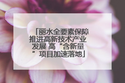 丽水全要素保障推进高新技术产业发展 高“含新量”项目加速落地