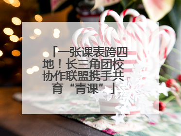 一张课表跨四地！长三角团校协作联盟携手共育“青课”