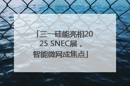 三一硅能亮相2025 SNEC展，智能微网成焦点