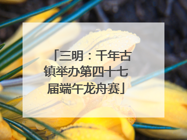 三明：千年古镇举办第四十七届端午龙舟赛