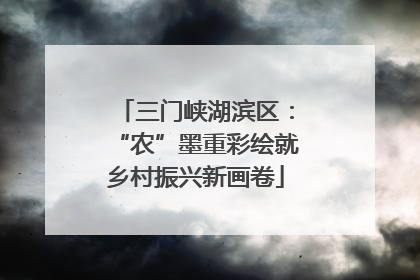 三门峡湖滨区：“农”墨重彩绘就乡村振兴新画卷