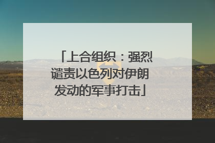 上合组织：强烈谴责以色列对伊朗发动的军事打击