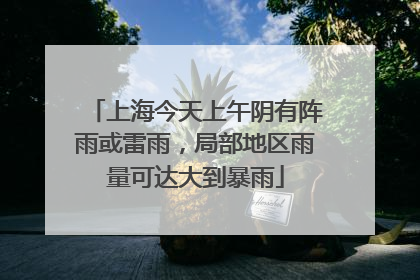 上海今天上午阴有阵雨或雷雨，局部地区雨量可达大到暴雨