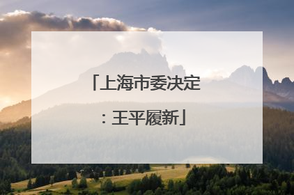 上海市委决定：王平履新