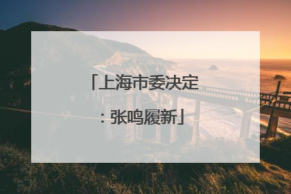 上海市委决定：张鸣履新