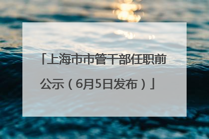 上海市市管干部任职前公示（6月5日发布）