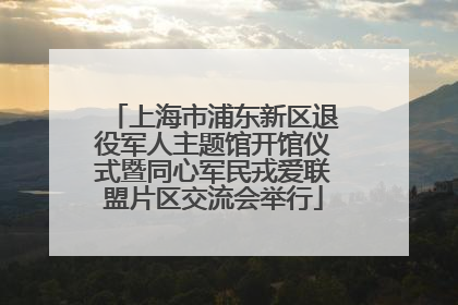 上海市浦东新区退役军人主题馆开馆仪式暨同心军民戎爱联盟片区交流会举行