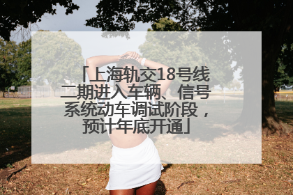 上海轨交18号线二期进入车辆、信号系统动车调试阶段，预计年底开通