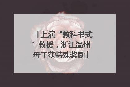 上演“教科书式”救援，浙江温州母子获特殊奖励