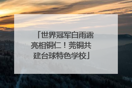 世界冠军白雨露亮相铜仁！莞铜共建台球特色学校