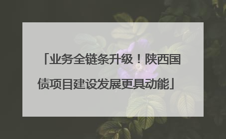 业务全链条升级！陕西国债项目建设发展更具动能
