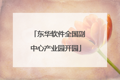 东华软件全国副中心产业园开园