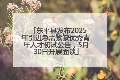 东平县发布2025年引进急需紧缺优秀青年人才初试公告，5月30日开展面谈
