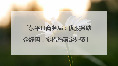 东平县商务局：优服务助企纾困，多措施稳定外贸