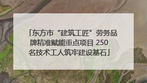 东方市“建筑工匠”劳务品牌精准赋能重点项目 250名技术工人筑牢建设基石