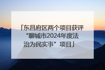 东昌府区两个项目获评“聊城市2024年度法治为民实事”项目