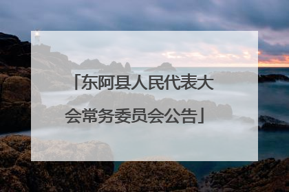 东阿县人民代表大会常务委员会公告