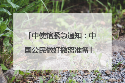 中使馆紧急通知：中国公民做好撤离准备