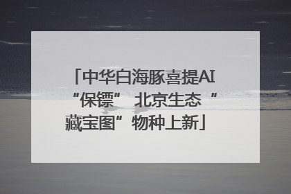 中华白海豚喜提AI“保镖” 北京生态“藏宝图”物种上新
