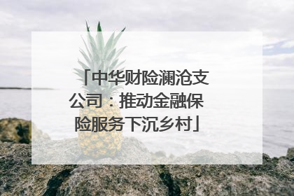 中华财险澜沧支公司：推动金融保险服务下沉乡村